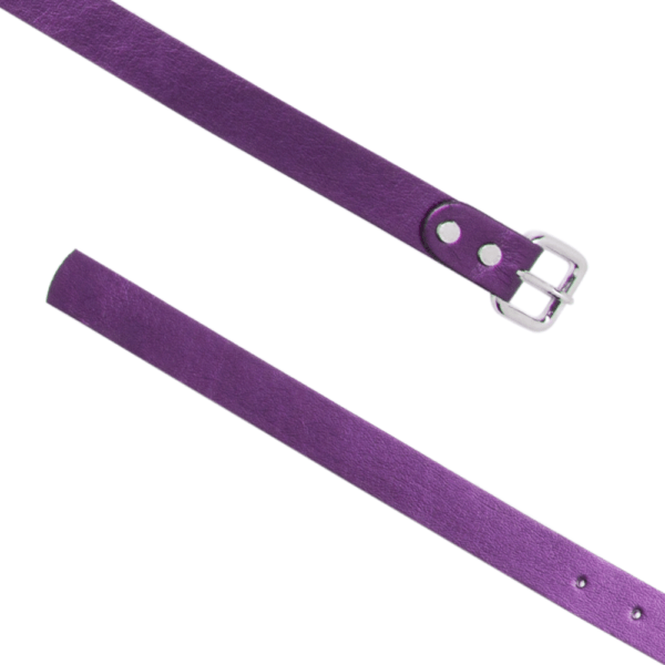 Cintura Basica 0.25 purple aperta