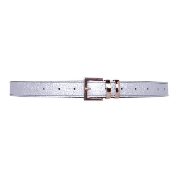 Cintura Doppio Passante cod. 0.25 silver chiusa